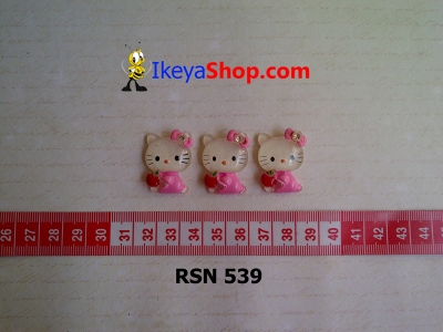 rsn 539  large2